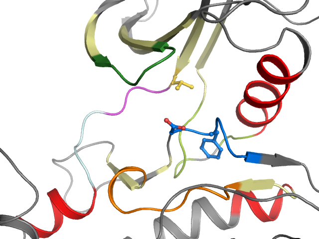 The orthosteric binding pocket