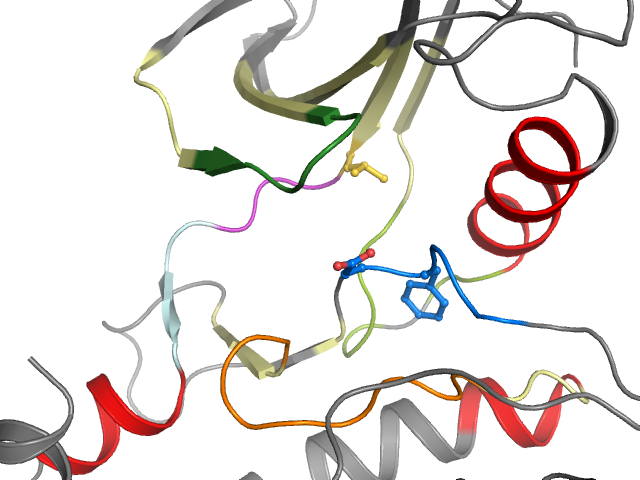 The orthosteric binding pocket