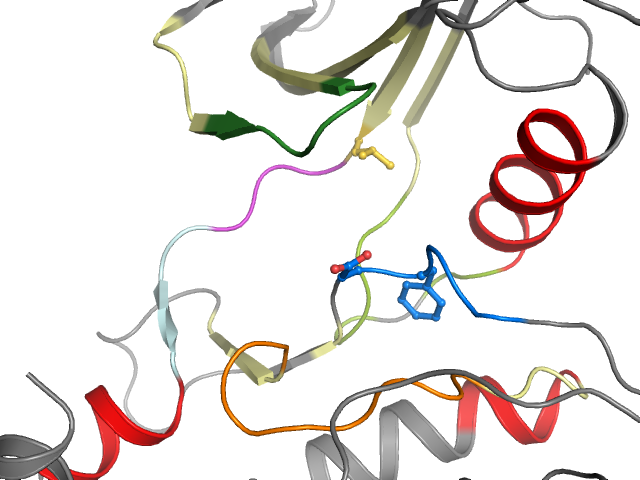 The orthosteric binding pocket