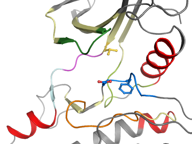 The orthosteric binding pocket