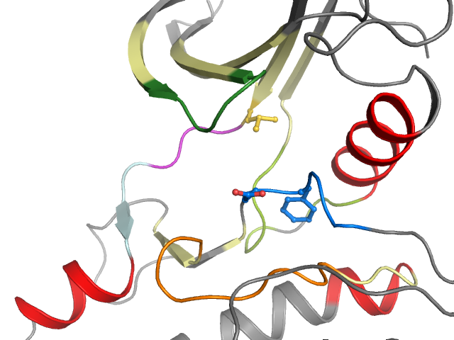 The orthosteric binding pocket
