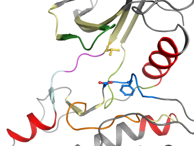 The orthosteric binding pocket