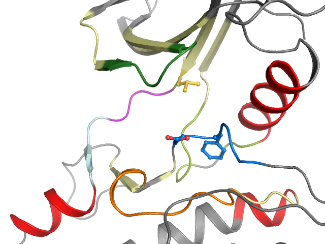 The orthosteric binding pocket