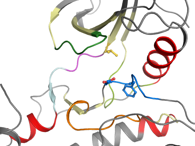 The orthosteric binding pocket