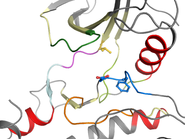 The orthosteric binding pocket