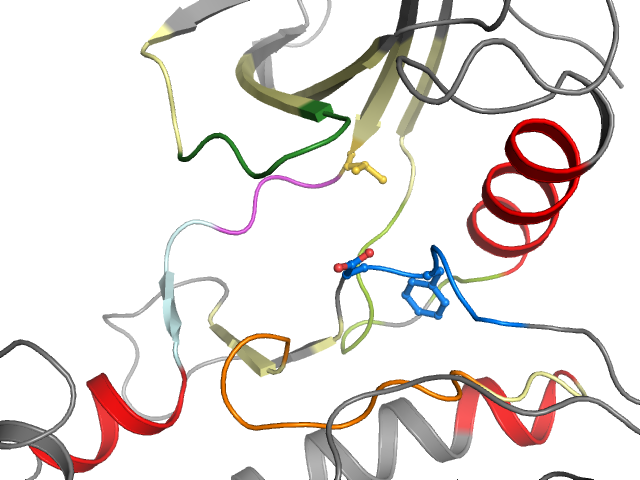 The orthosteric binding pocket