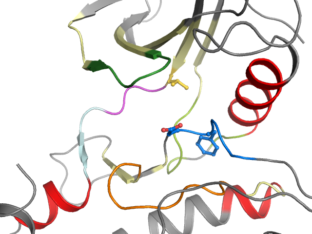The orthosteric binding pocket
