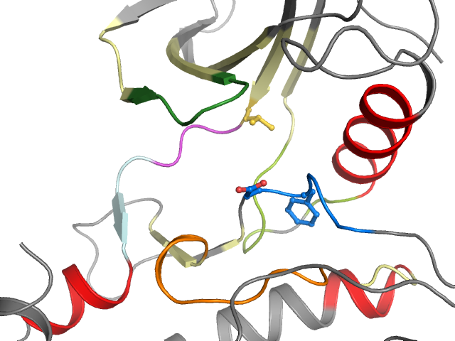 The orthosteric binding pocket