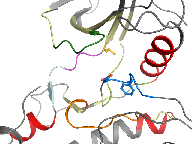 The orthosteric binding pocket