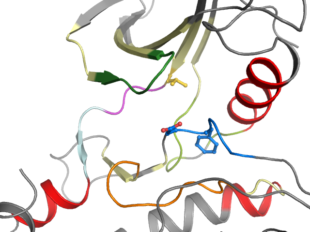 The orthosteric binding pocket