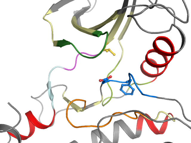 The orthosteric binding pocket