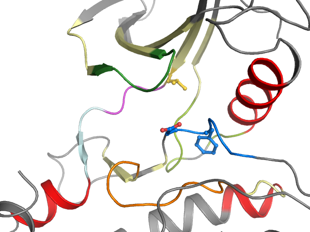 The orthosteric binding pocket