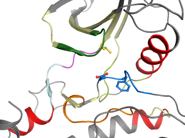 The orthosteric binding pocket
