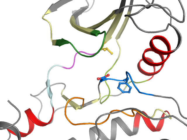 The orthosteric binding pocket