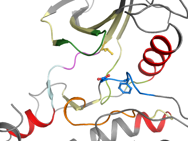 The orthosteric binding pocket