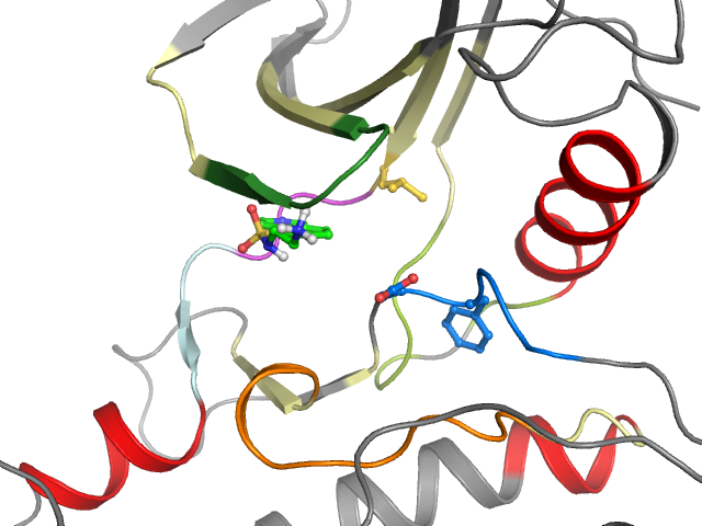 The orthosteric binding pocket