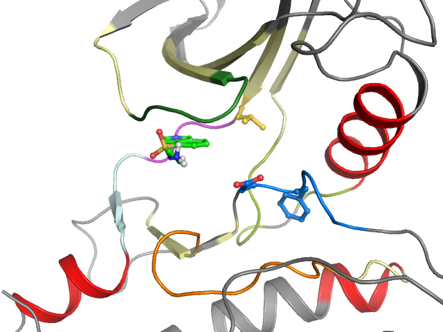 The orthosteric binding pocket