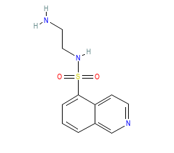 2D structure of the orthosteric ligand