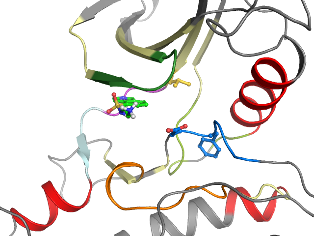 The orthosteric binding pocket
