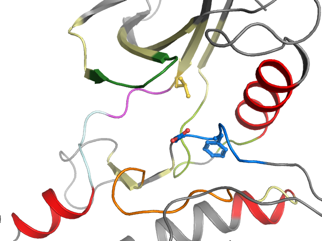 The orthosteric binding pocket