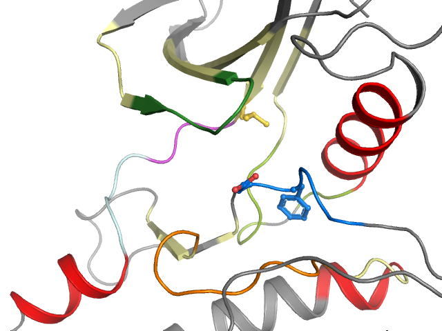 The orthosteric binding pocket