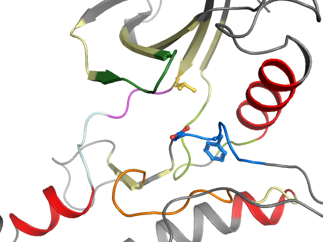 The orthosteric binding pocket