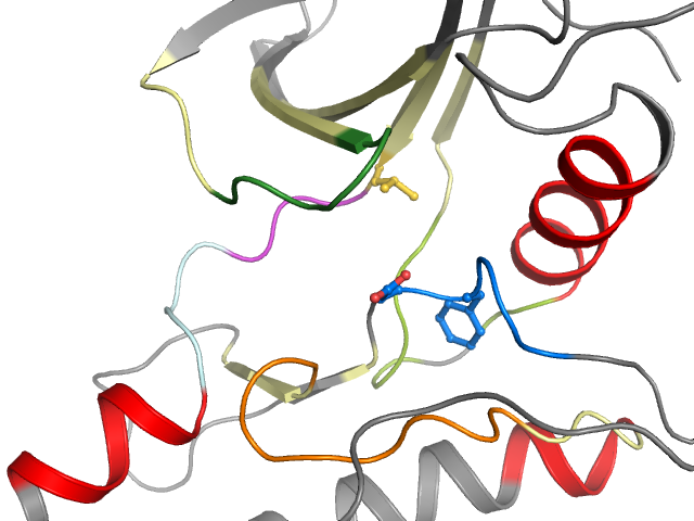 The orthosteric binding pocket