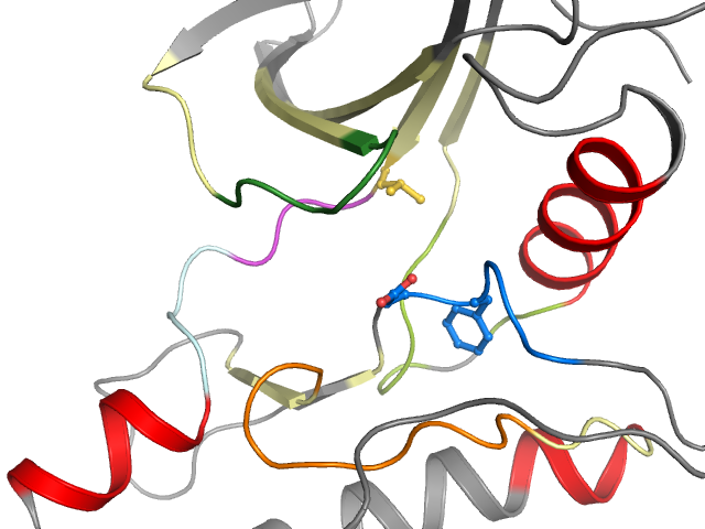 The orthosteric binding pocket