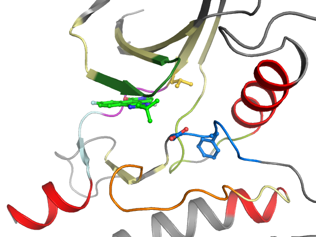 The orthosteric binding pocket