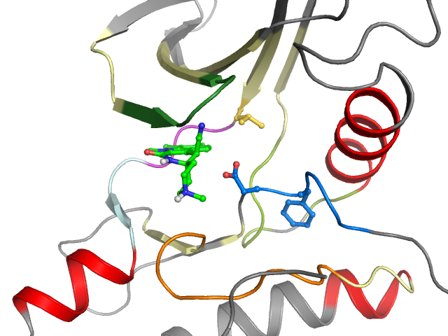 The orthosteric binding pocket