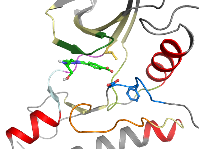 The orthosteric binding pocket