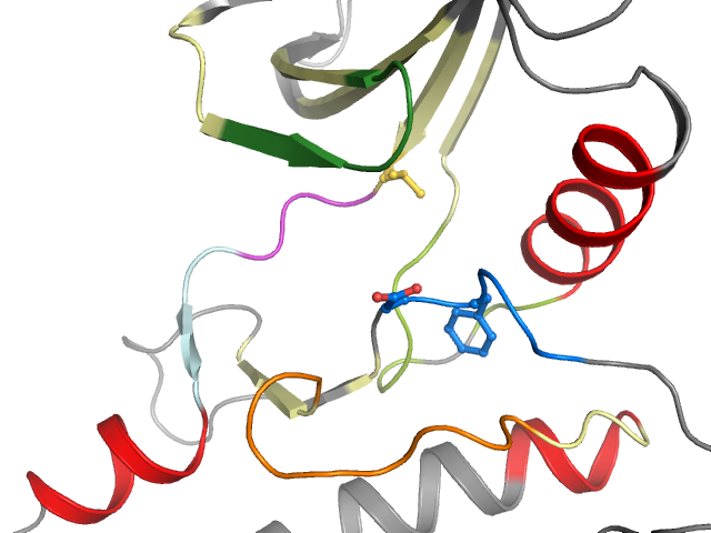 The orthosteric binding pocket