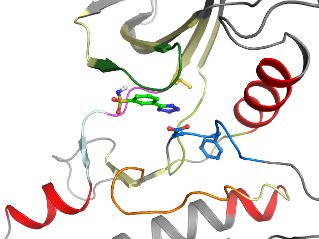 The orthosteric binding pocket