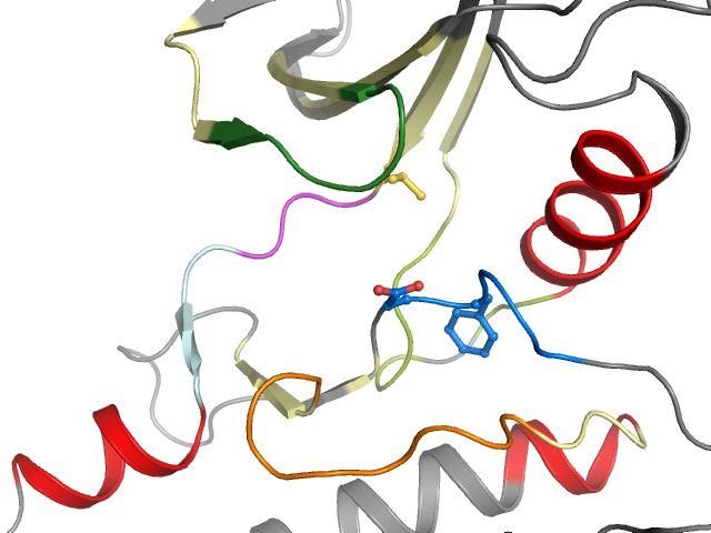 The orthosteric binding pocket
