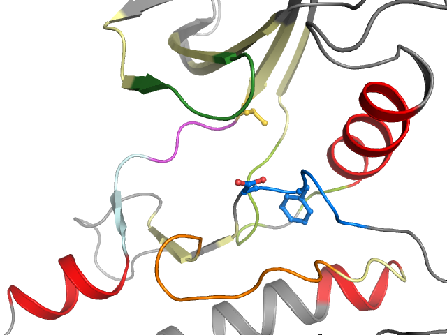 The orthosteric binding pocket