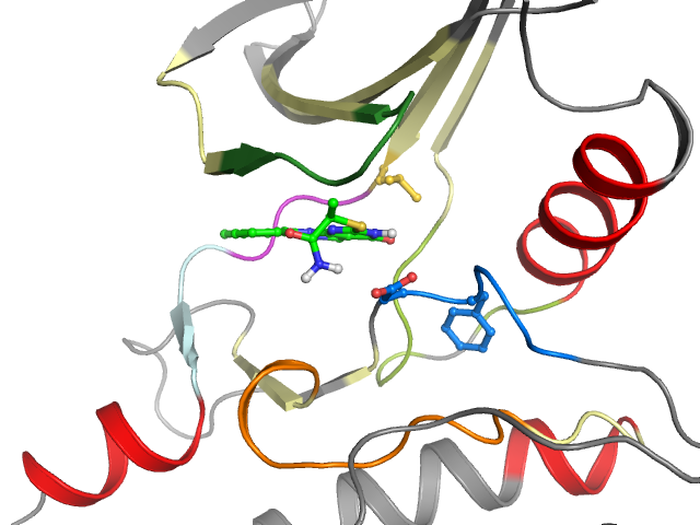 The orthosteric binding pocket