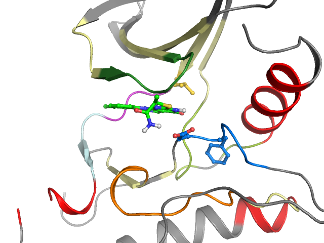 The orthosteric binding pocket