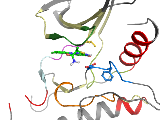 The orthosteric binding pocket
