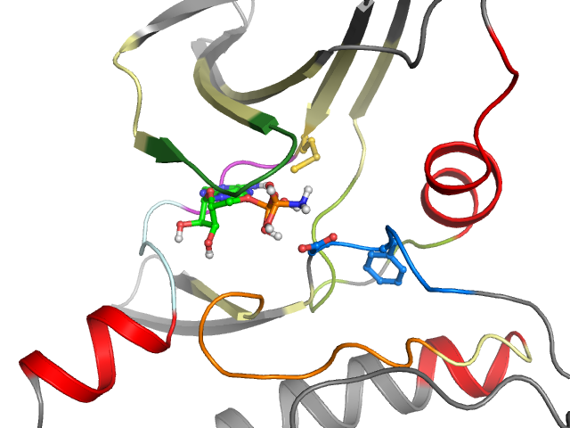 The orthosteric binding pocket