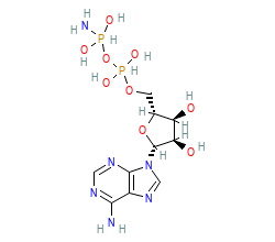 2D structure of the orthosteric ligand