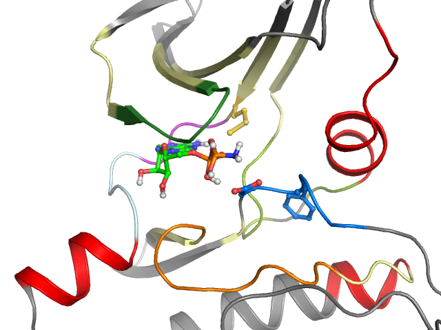 The orthosteric binding pocket