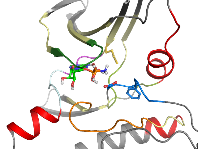 The orthosteric binding pocket