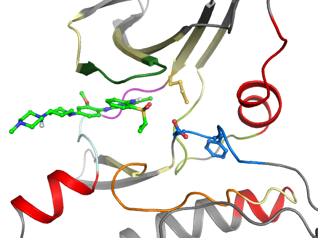 The orthosteric binding pocket