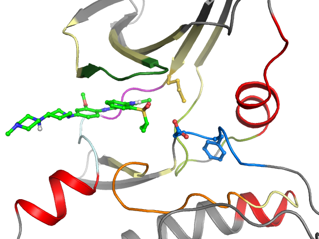 The orthosteric binding pocket
