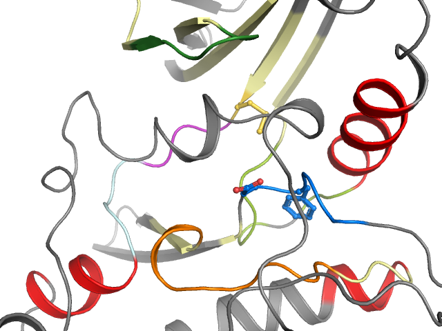 The orthosteric binding pocket