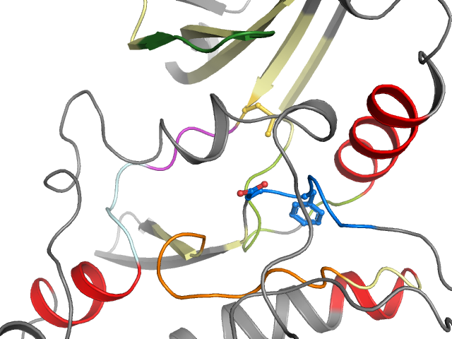 The orthosteric binding pocket