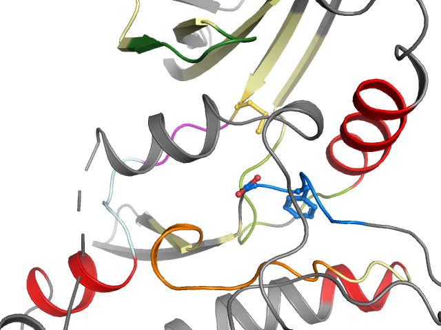 The orthosteric binding pocket