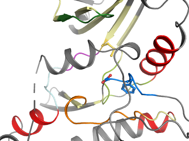 The orthosteric binding pocket
