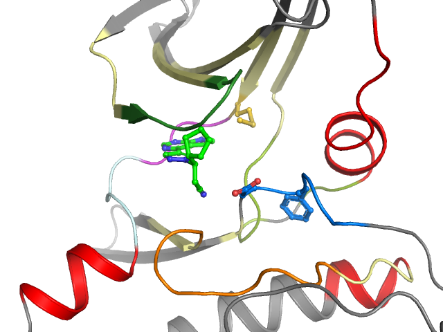 The orthosteric binding pocket