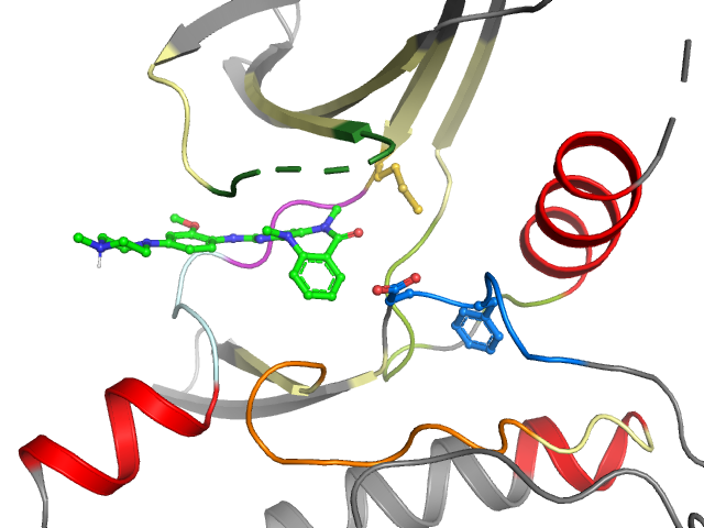 The orthosteric binding pocket